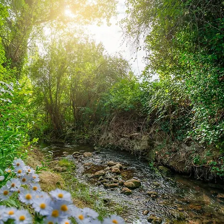 Сasa de vacaciones El Molino De La Pastora